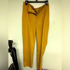 NWT Pleated Trousers